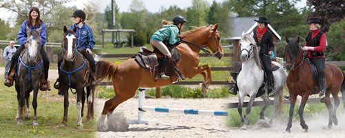 Rounds Ranch Gaited Horse Show