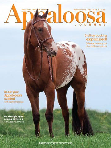 Appaloosa Horse Journal