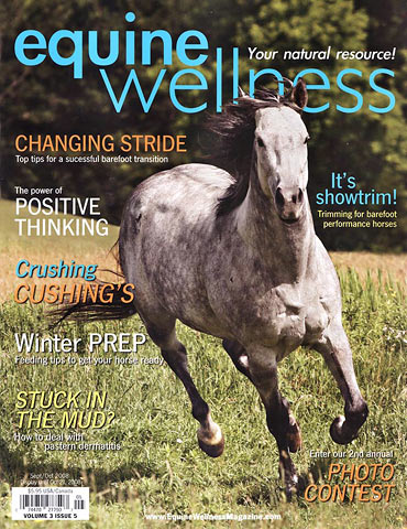 Animal Wellness cover