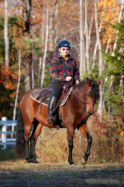 Fall horse and rider