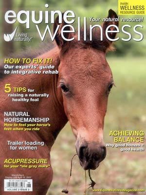 Equine Wellness