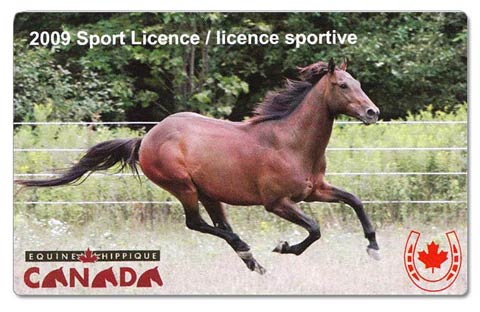 Sport License Equine Canada