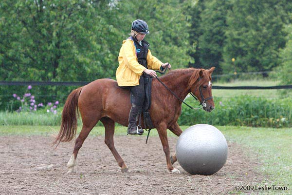 Camilla playing horse Soccer