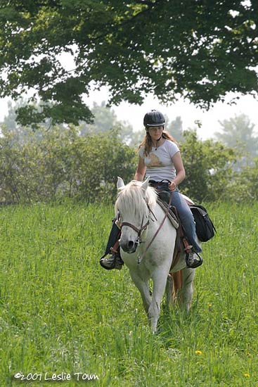 Gray Mare and girl